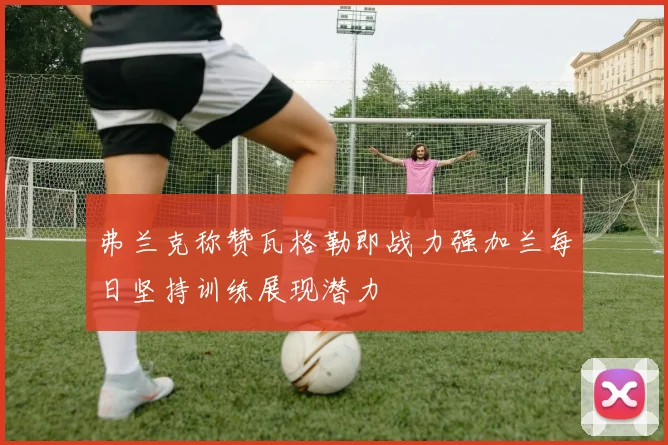 弗兰克称赞瓦格勒即战力强加兰每日坚持训练展现潜力