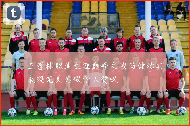 王哲林职业生涯巅峰之战马健称其表现完美无瑕令人赞叹