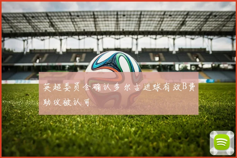 英超委员会确认多尔古进球有效B费助攻被认可
