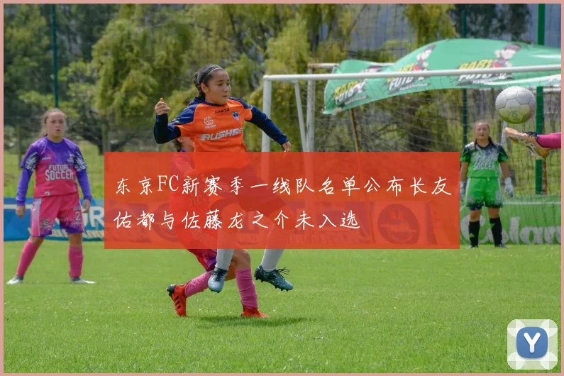 东京FC新赛季一线队名单公布长友佑都与佐藤龙之介未入选
